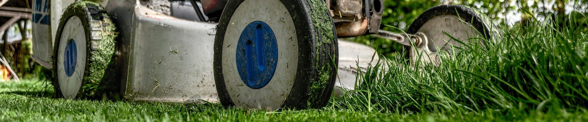 Rasenm�her und Forstger�te